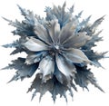 Enchanted frost flower. Frost flower clipart for decoration.