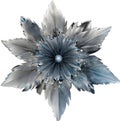 Enchanted frost flower. Frost flower clipart for decoration.