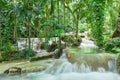 Enchanted gardens in Jamaica Royalty Free Stock Photo