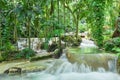 Enchanted gardens in Jamaica