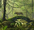 Enchanted Jungle Forest with a Panther Cat Royalty Free Stock Photo