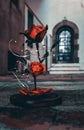 The Enchanted Rose from Beauty and the Beast Royalty Free Stock Photo