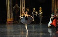 Enchanted sentient beings-The prince adult ceremony-ballet Swan Lake