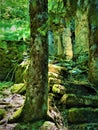 Enchanted stairway, trunk, lights and ruins