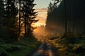 Enchanted sunrise ethereal light in misty forest, sunrise and sunset wallpaper