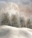 Enchanted winter forest Royalty Free Stock Photo