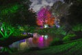 Enchanted Woodland in Syon Park Royalty Free Stock Photo