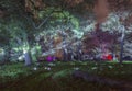 Enchanted Woodland in Syon Park