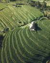 Enchanting Abode A Home Amidst the Green Splendor of Rice Fields Royalty Free Stock Photo