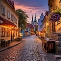 Enchanting Allure of Tallinn's Old Town