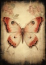 Enchanting Anomalies: A Butterfly\'s Flight Through a Hand-Tinted Royalty Free Stock Photo