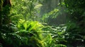 Lush Green Ferns Bathed in Sunlight in a Tranquil Forest Setting, Perfect for Nature and Wellness Themes. Generative Ai Royalty Free Stock Photo