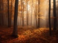 Enchanting Autumn Forest - Golden Canopy & Whispers of Fall