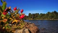 Enchanting summer ,scene in san martin de los andes and lolog lake views. Colorful autumn scene of the andes