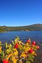 Enchanting autumn lake scene in san martin de los andes and lolog lake views. Colorful autumn scene of the andes