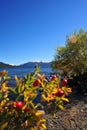 Enchanting summer lake scene in san martin de los andes and lolog lake views. Colorful autumn scene of the andes