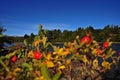 Enchanting autumn lake scene in san martin de los andes and lolog lake views. Colorful autumn scene of the andes