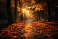 Enchanting autumn view Sun kissed forest golden