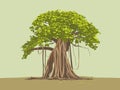 Enchanting Banyan - Illustration of Majestic Tree in Tranquil Setting Royalty Free Stock Photo