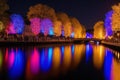 Incredible Light Installations and Nighttime Magic at a Festival