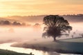 enchanting beauty of a misty morning in a rural landscape, where a tree is bathed in great lighting. Royalty Free Stock Photo