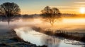 enchanting beauty of a misty morning in a rural landscape, where a tree is bathed in great lighting. Royalty Free Stock Photo