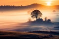 enchanting beauty of a misty morning in a rural landscape, where a tree is bathed in great lighting. Royalty Free Stock Photo