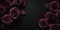 Enchanting Blooms: A Digital Banner of Majestic Roses and Royal
