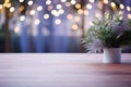 Enchanting Bokeh Lights Transforming an Indoor Oasis