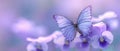 The enchanting butterfly perched gracefully on delicate purple flowers. AI generated image Royalty Free Stock Photo