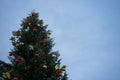 Enchanting Christmas Tree in Holiday Splendor with dark blue sky before evening