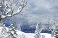 Enchanting Christmas Winter Landscape