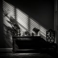 Enchanting Contrasts: Dynamic Interplay of Light and Darkness