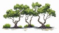 Enchanting Dancing Mangrove Trees of Sumba Island