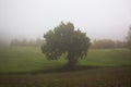 Foggy morning on the hill in the Italian countryside. Autumn landscape. Royalty Free Stock Photo