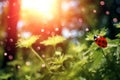 Enchanting Encounter: A Young Ladybug Takes Flight in a Flower-Filled Forest