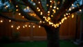 Enchanting fairy lights on tree branches in a cozy backyard creating a magical atmosphere Royalty Free Stock Photo