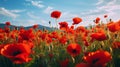 The scarlet blossoms creating a stunning contrast to the green surroundings