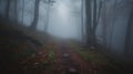 Enchanting Forest Path in Dense Fog