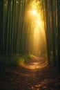 Enchanting Forest Path with Mystical Sun Rays and Deep Shadows, Portrait Images Generative AI Royalty Free Stock Photo