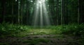 Enchanting forest path with sunbeams