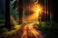 Enchanting Forest Sunset Pathway Leading to the Sun\'s Radiance in Nature\'s Embrace. created with Generative AI Royalty Free Stock Photo