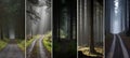 Enchanting forest travel concept divided collage with bright white segments and vertical lines