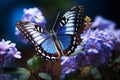 Enchanting garden scene close up of a butterfly on blue flowers