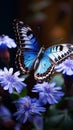 Enchanting garden scene close up of a butterfly on blue flowers