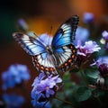 Enchanting garden scene close up of a butterfly on blue flowers