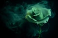 Enchanting Green Rose Fantasy