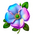 Enchanting Hues: Cherokee Rose in Violet and Blue - Botanical Beauty. Royalty Free Stock Photo