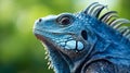 Enchanting Iguana: A Unique Insurance Profile in Vibrant Hues of