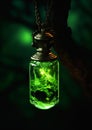 Enchanting Illumination: A Magical Journey Through the Green Fir